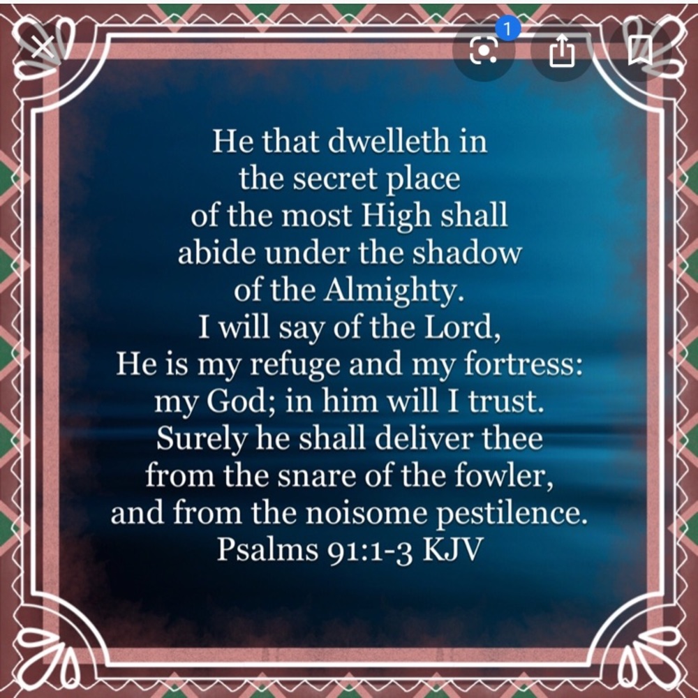 Peace for today 🌹